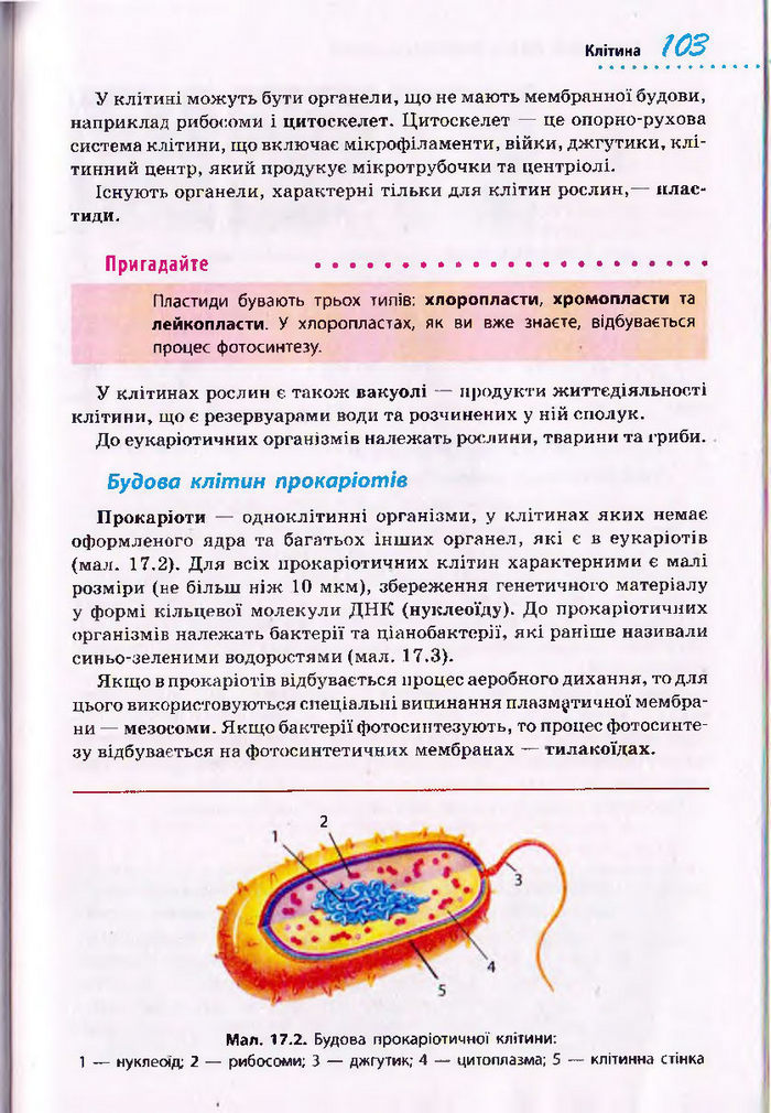 Біологія 10 клас Тагліна