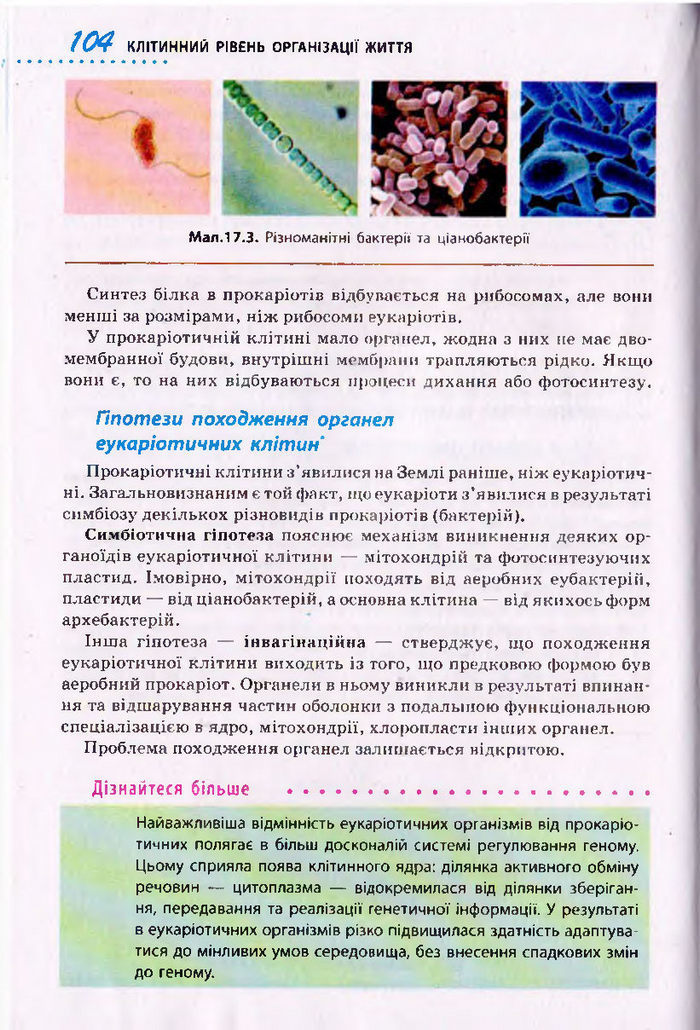 Біологія 10 клас Тагліна