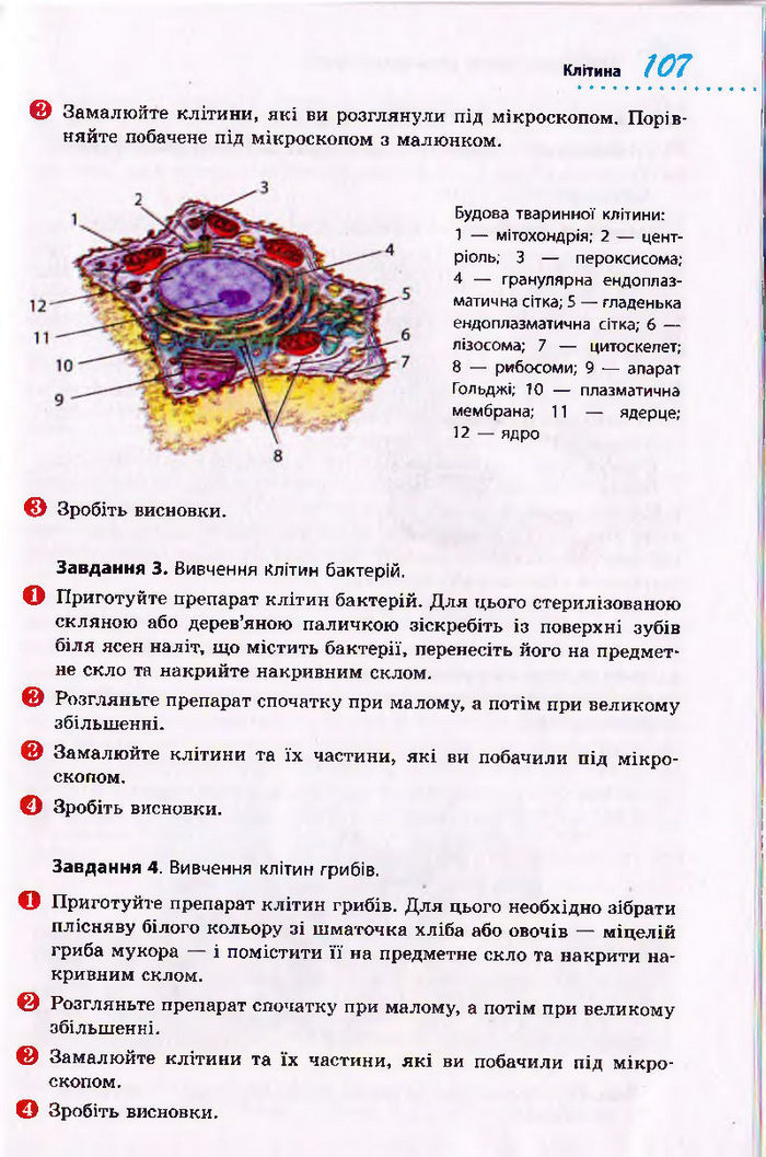 Біологія 10 клас Тагліна