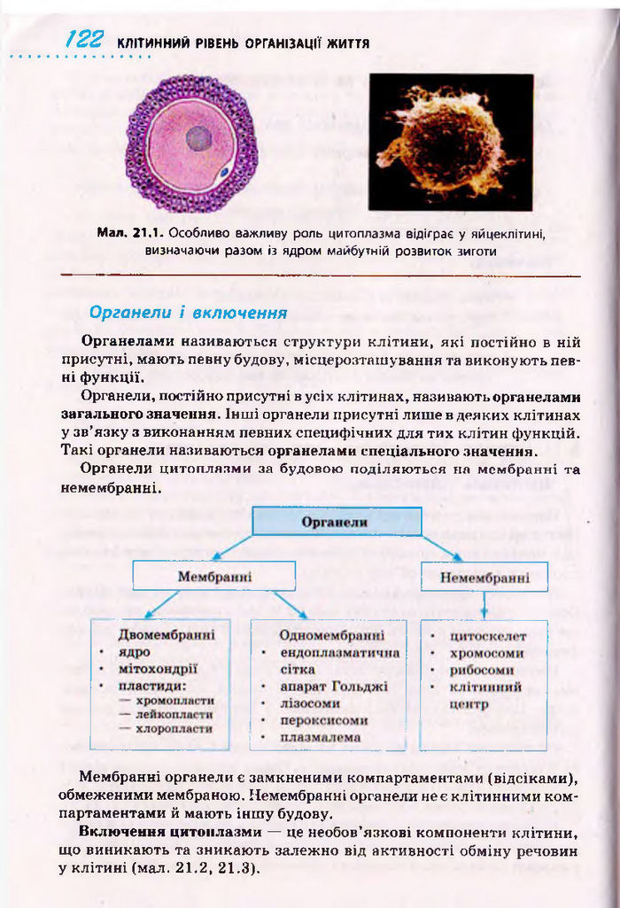 Біологія 10 клас Тагліна