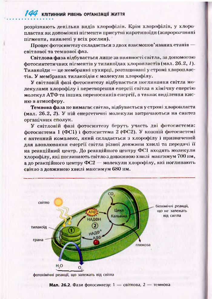 Біологія 10 клас Тагліна