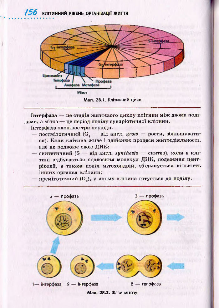 Біологія 10 клас Тагліна