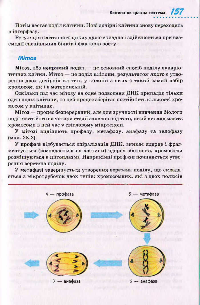 Біологія 10 клас Тагліна