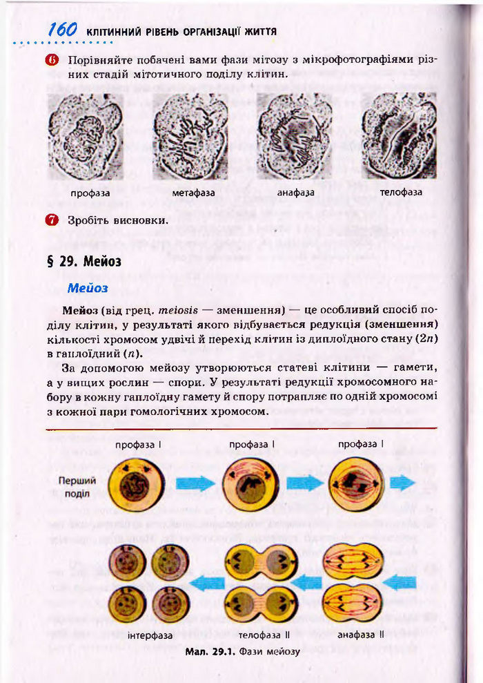 Біологія 10 клас Тагліна