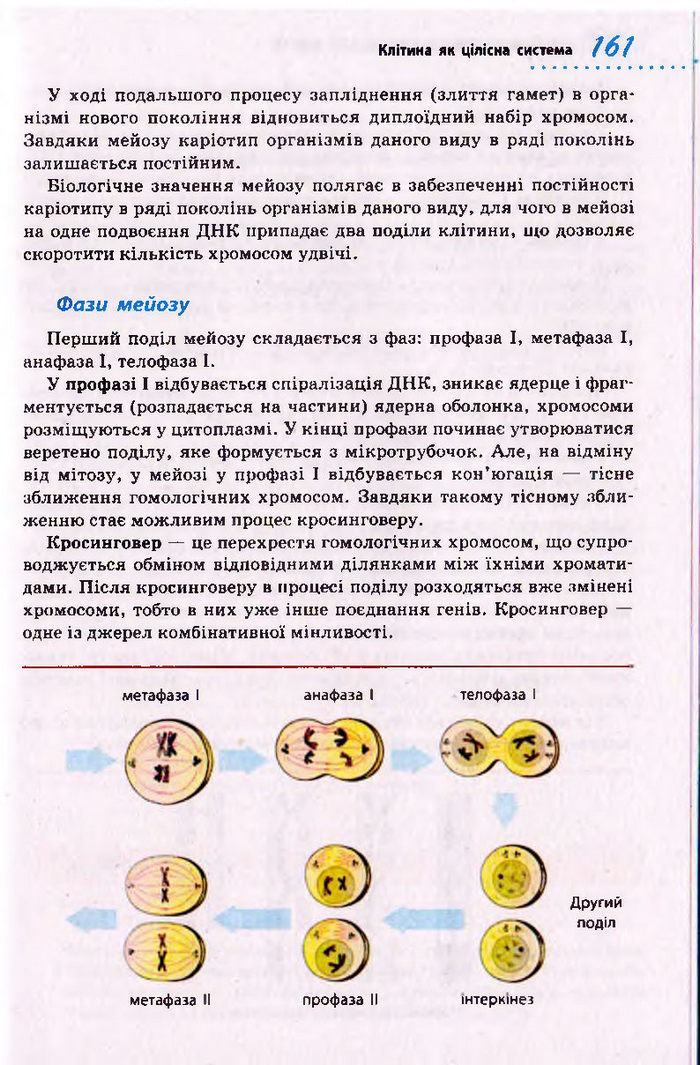 Біологія 10 клас Тагліна