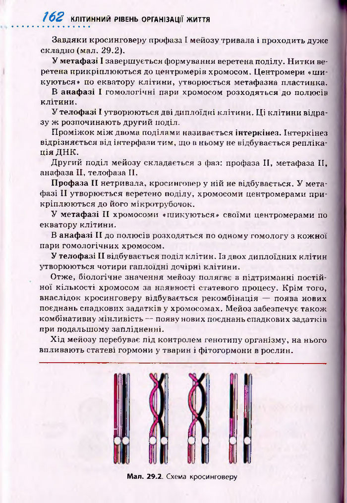 Біологія 10 клас Тагліна