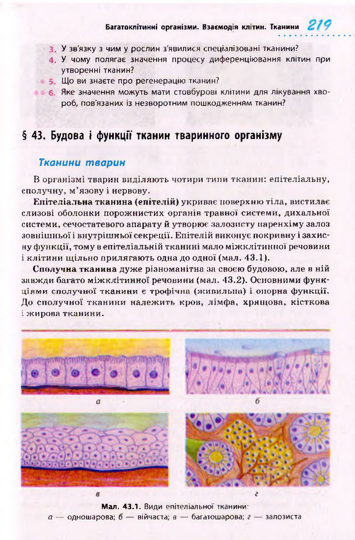 Біологія 10 клас Тагліна