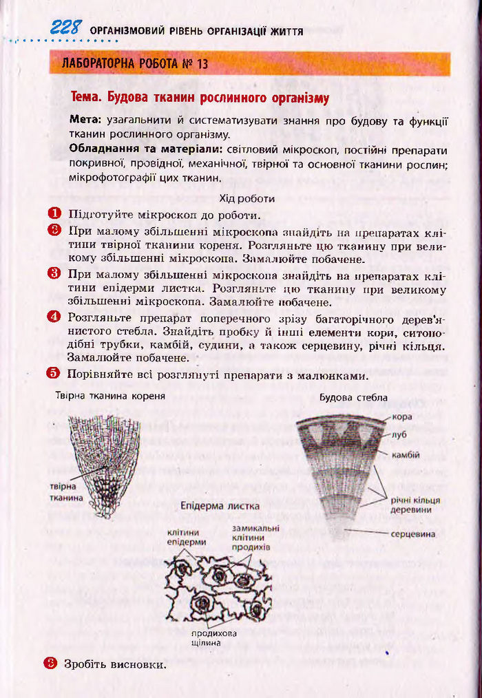 Біологія 10 клас Тагліна