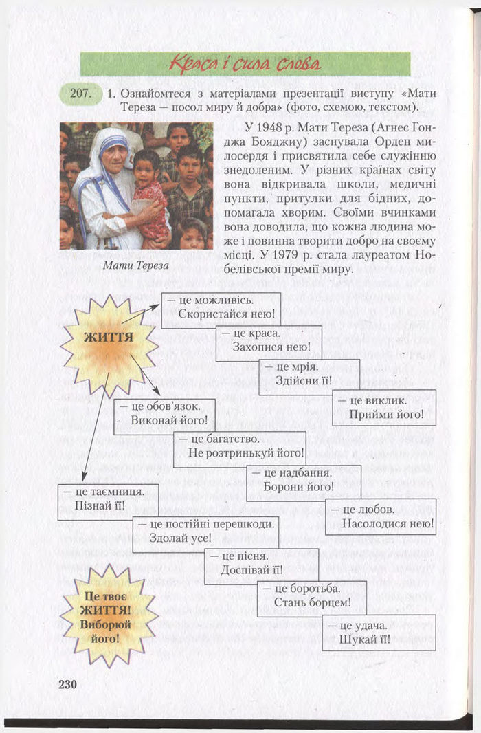 Підручник Українська мова 11 клас Єрмоленко