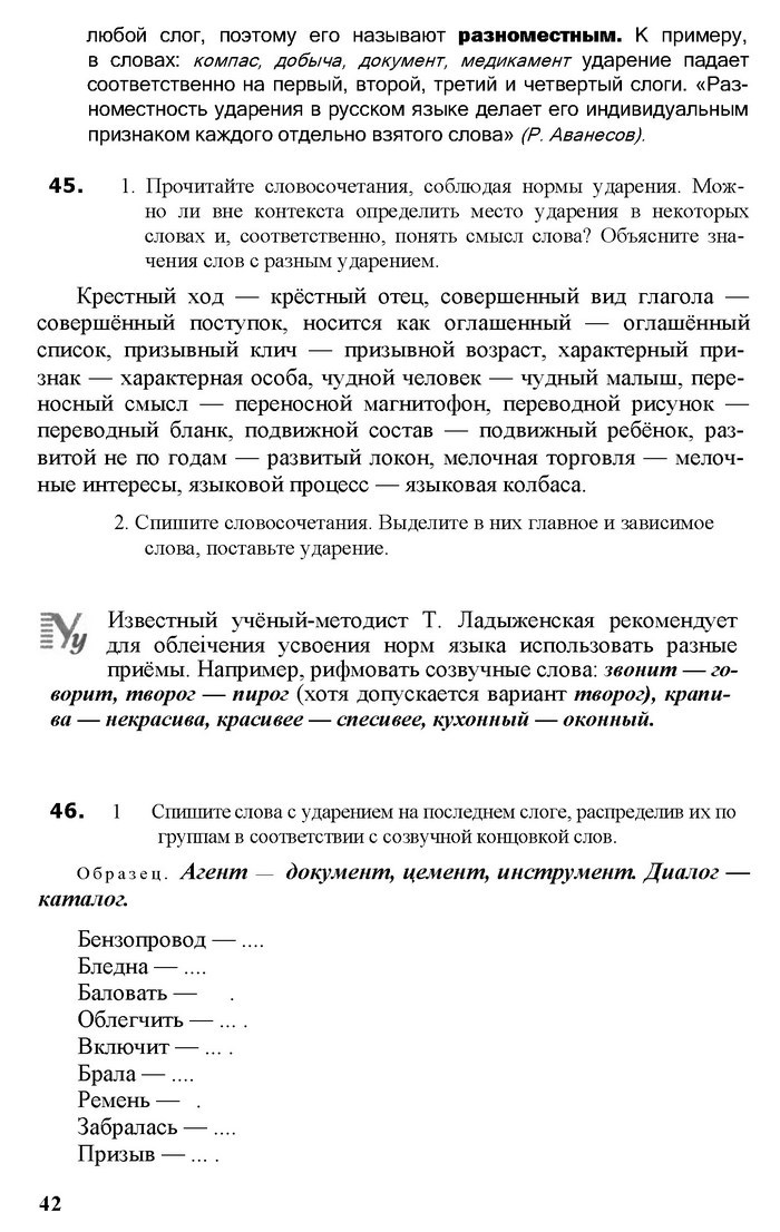 Русский язык 11 класс Рудяков