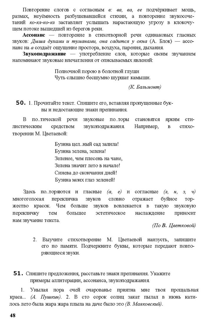 Русский язык 11 класс Рудяков