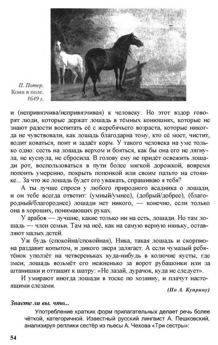 Русский язык 11 класс Рудяков