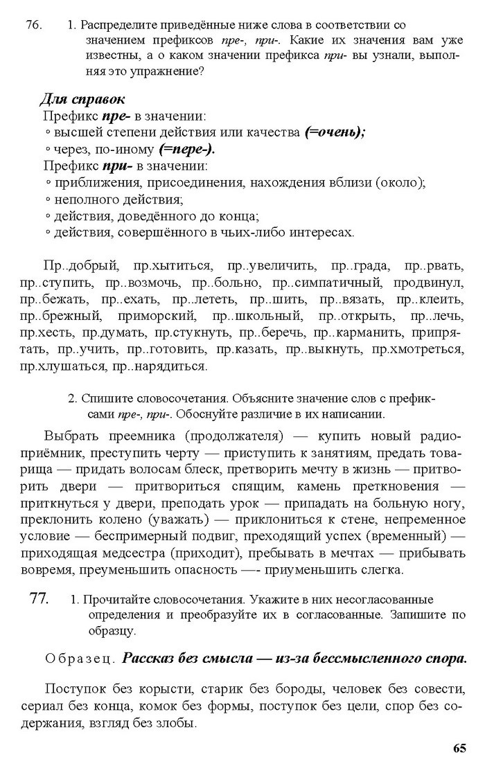 Русский язык 11 класс Рудяков