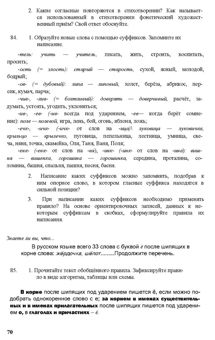 Русский язык 11 класс Рудяков