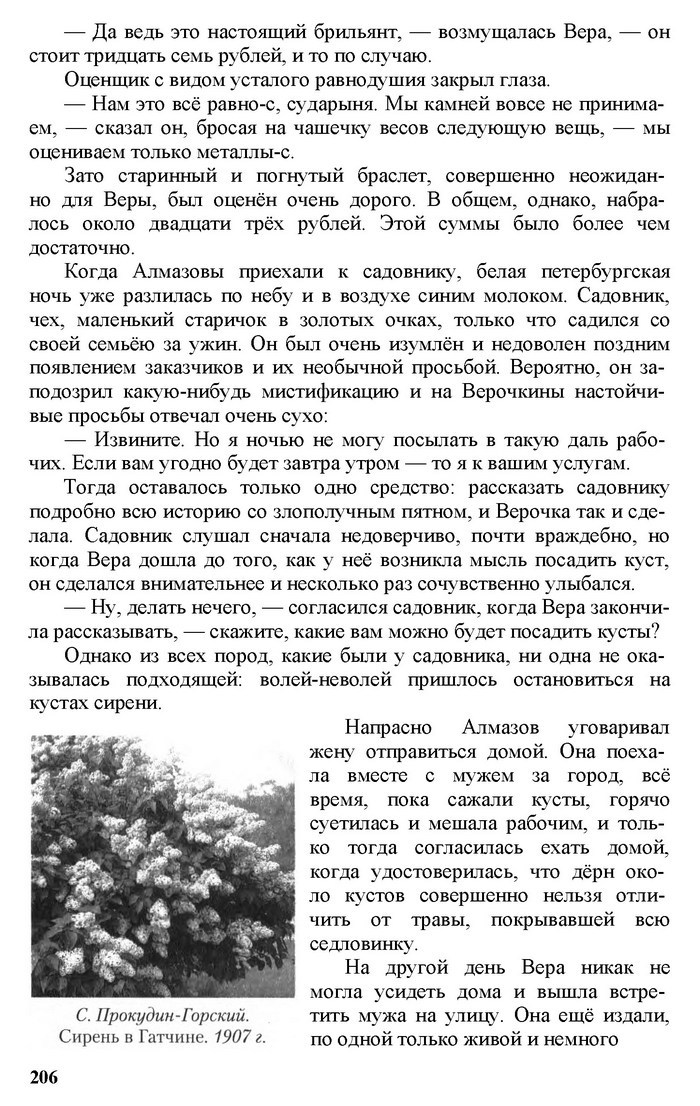 Русский язык 11 класс Рудяков
