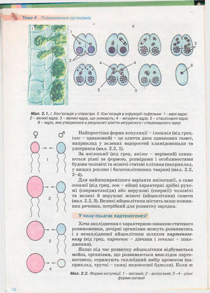 Біологія 11 клас Балан