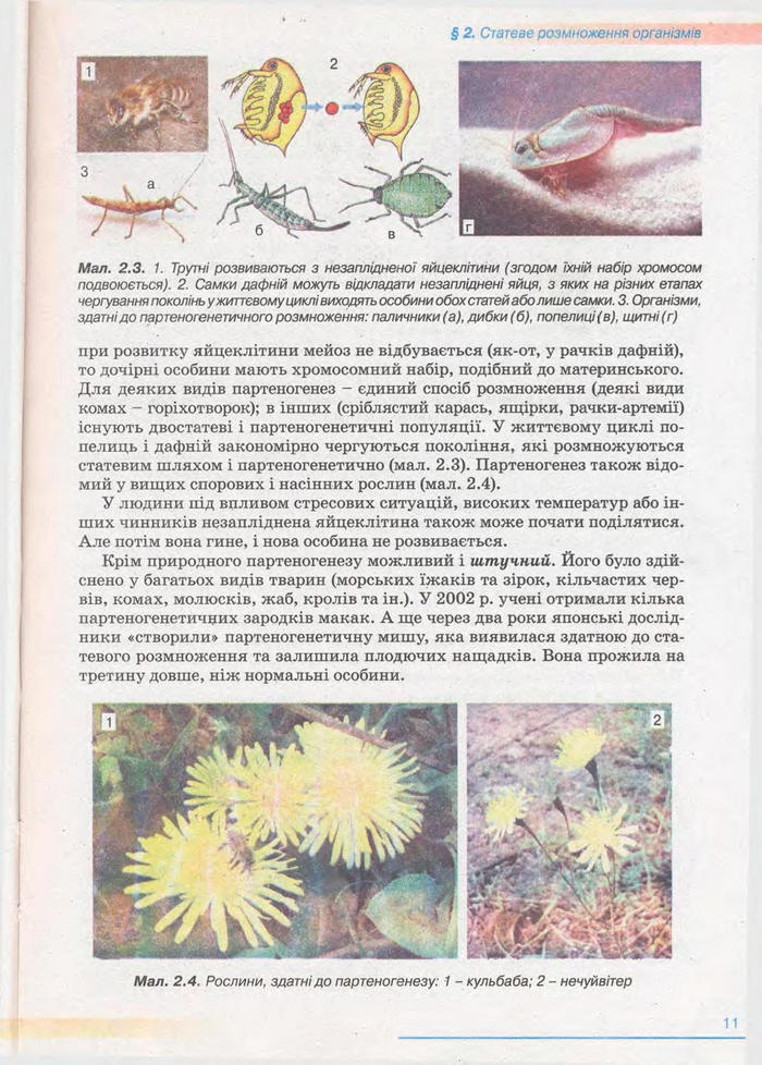 Біологія 11 клас Балан