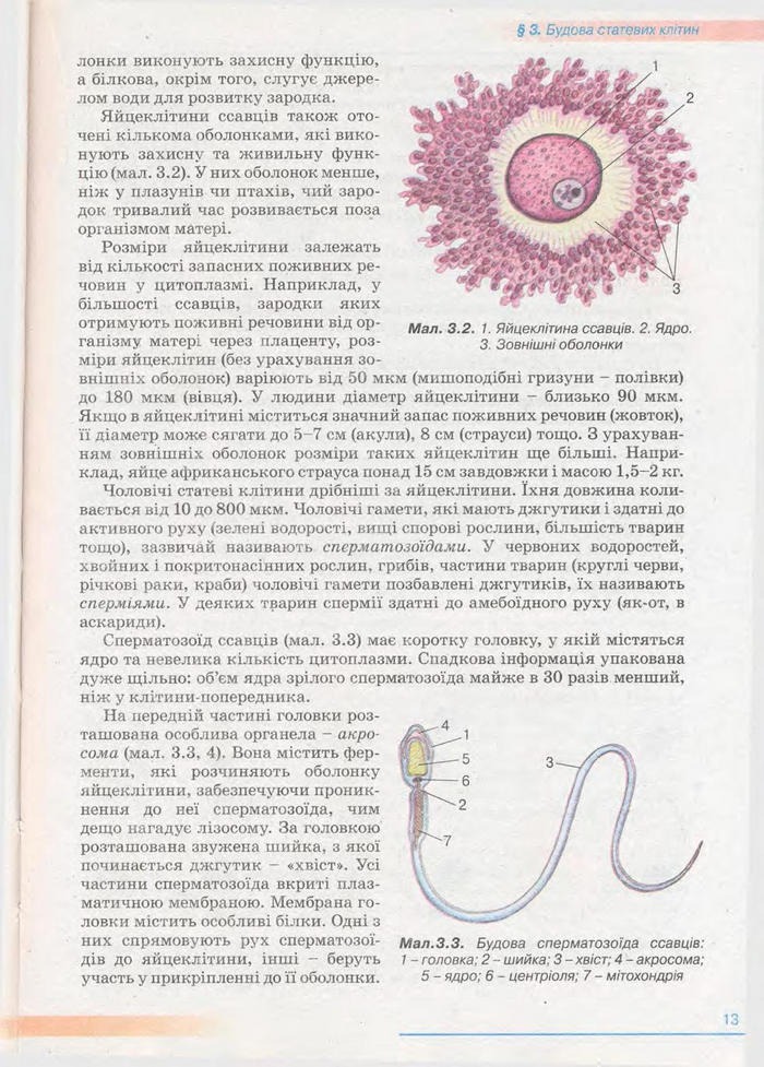Біологія 11 клас Балан