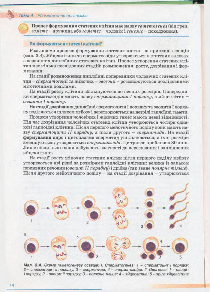 Біологія 11 клас Балан