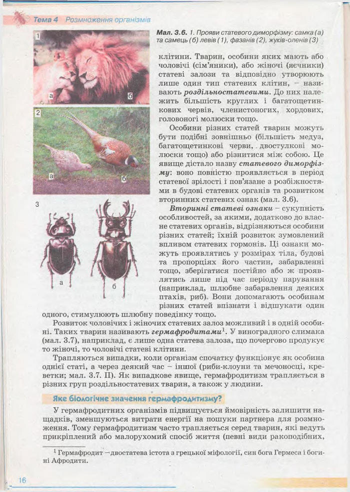 Біологія 11 клас Балан