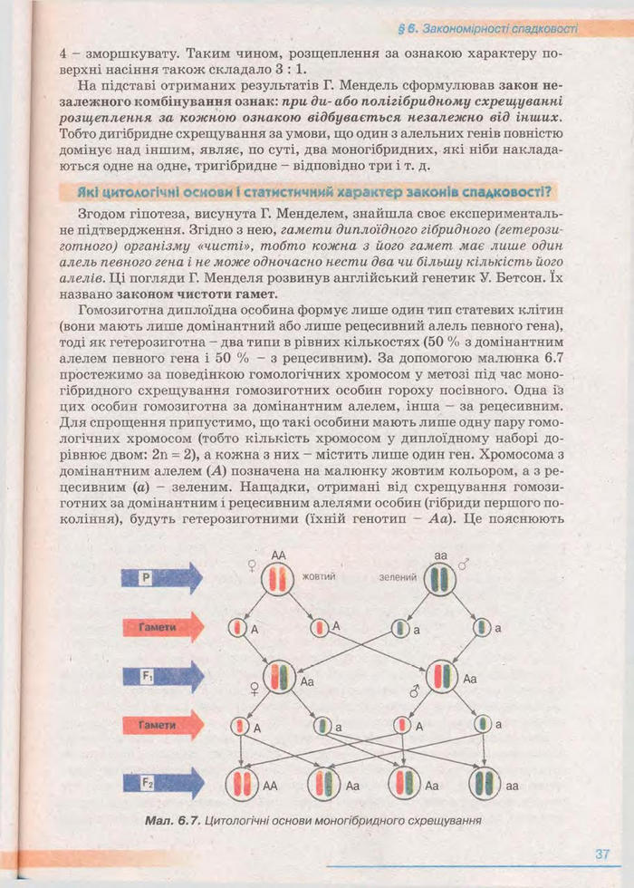 Біологія 11 клас Балан