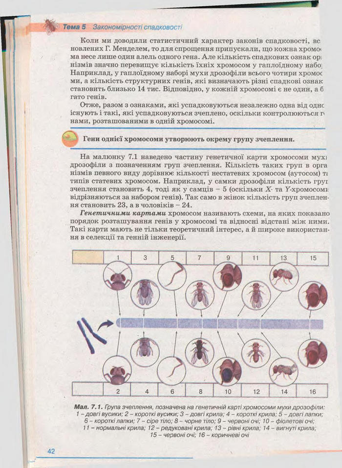 Біологія 11 клас Балан