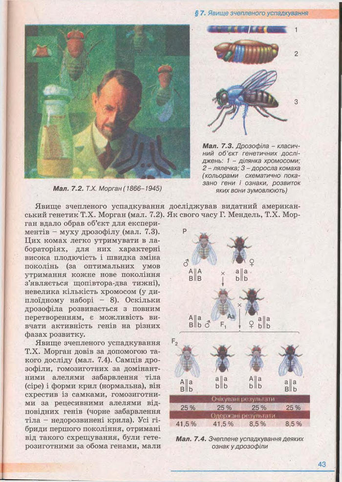 Біологія 11 клас Балан