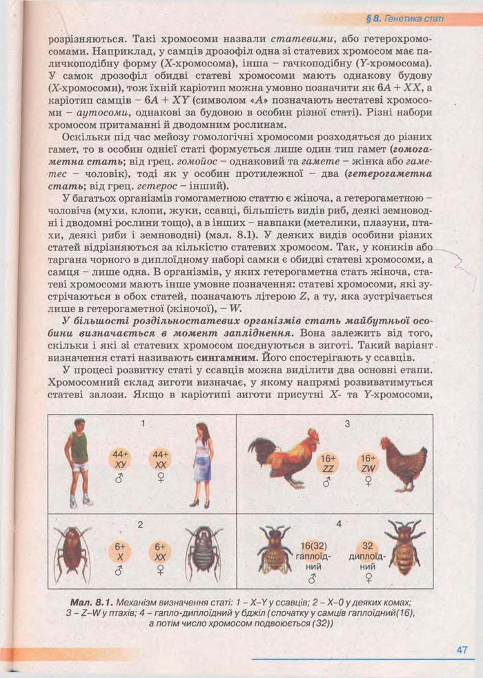 Біологія 11 клас Балан