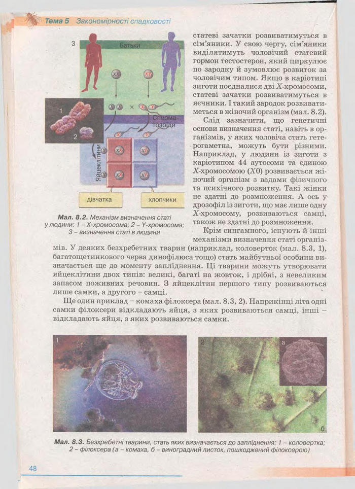 Біологія 11 клас Балан