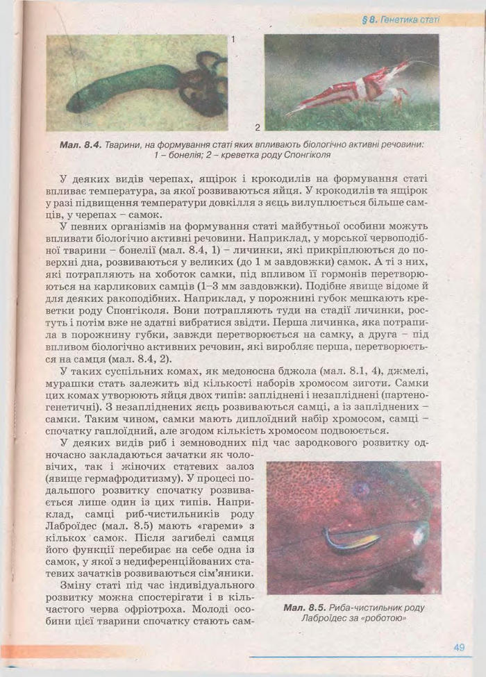 Біологія 11 клас Балан
