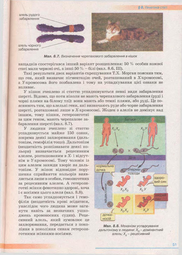 Біологія 11 клас Балан
