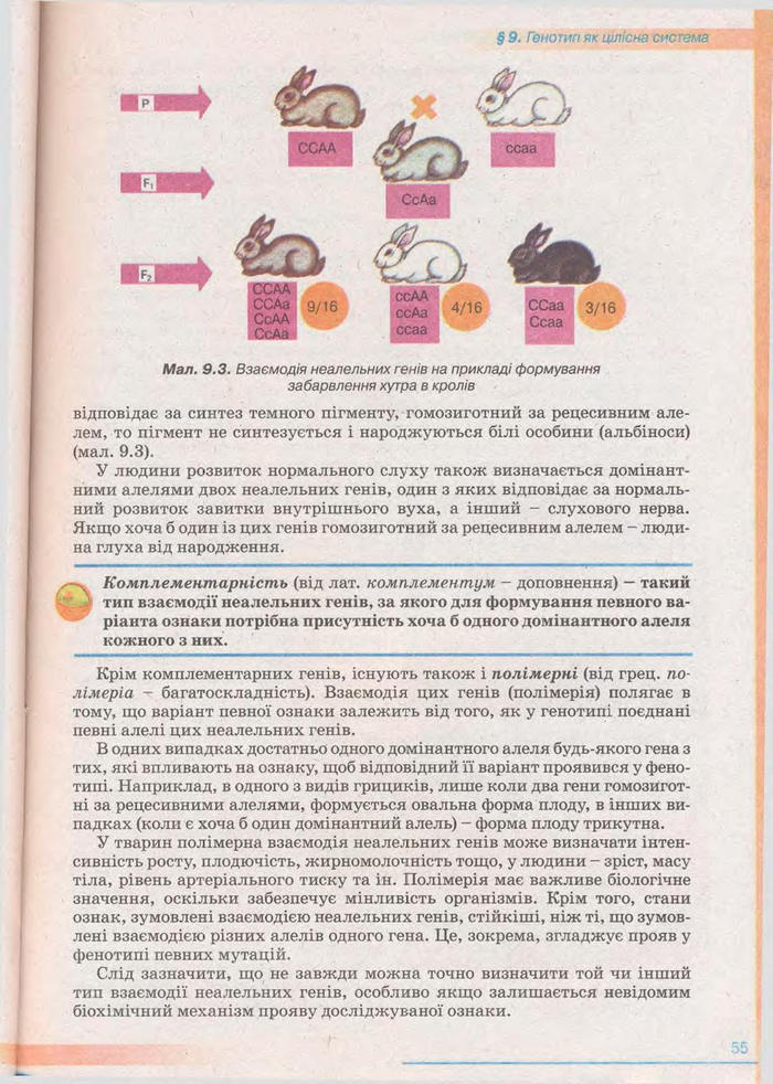 Біологія 11 клас Балан