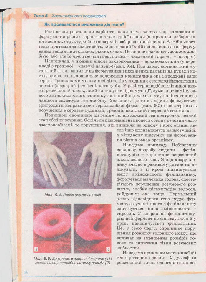 Біологія 11 клас Балан