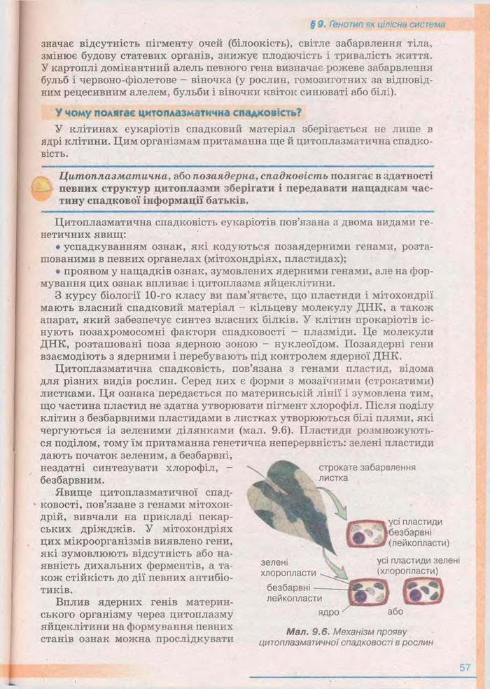 Біологія 11 клас Балан
