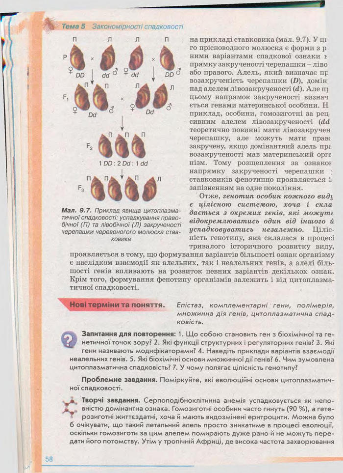 Біологія 11 клас Балан