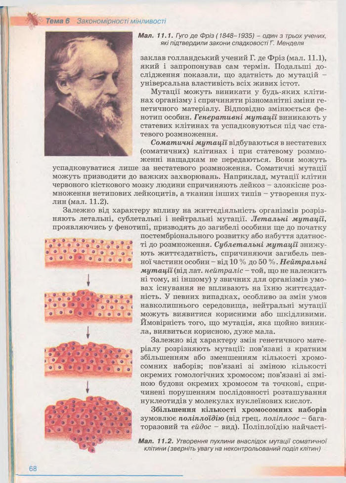 Біологія 11 клас Балан