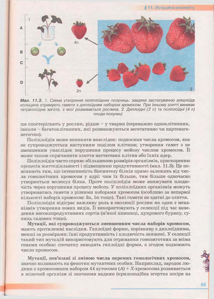 Біологія 11 клас Балан