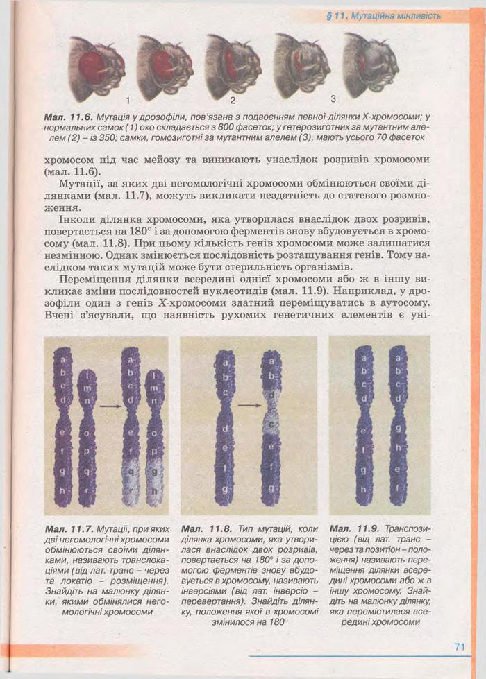 Біологія 11 клас Балан