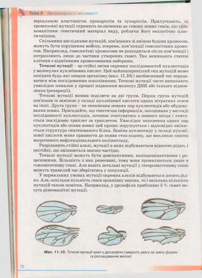 Біологія 11 клас Балан