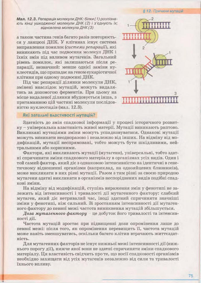 Біологія 11 клас Балан