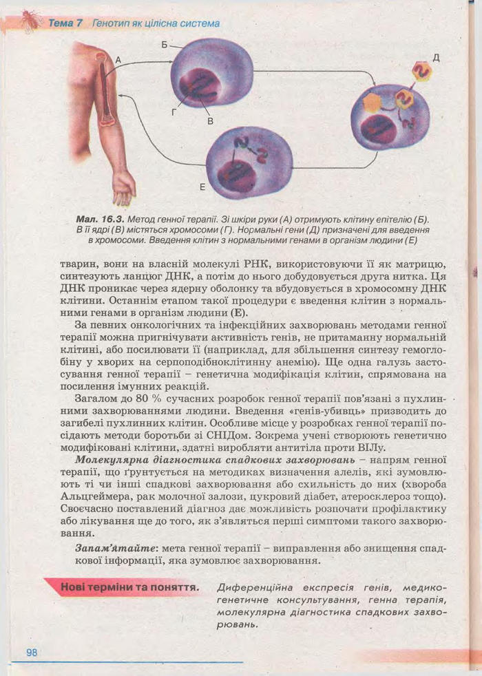 Біологія 11 клас Балан