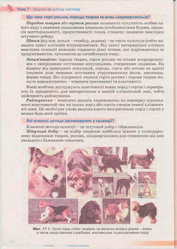 Біологія 11 клас Балан
