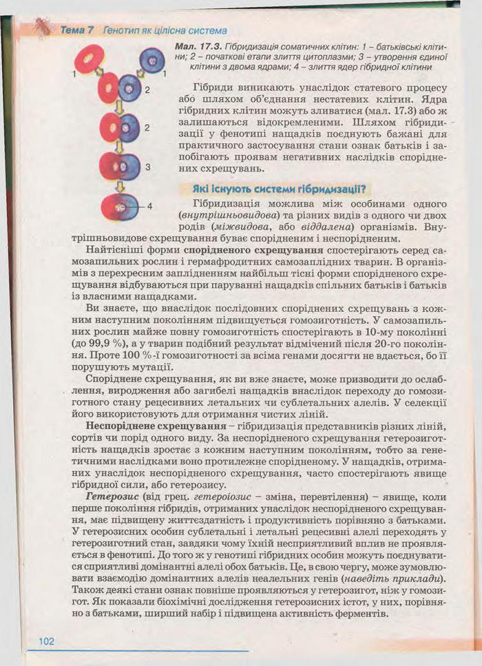 Біологія 11 клас Балан