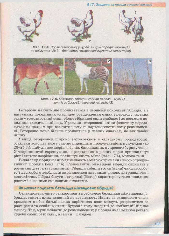 Біологія 11 клас Балан