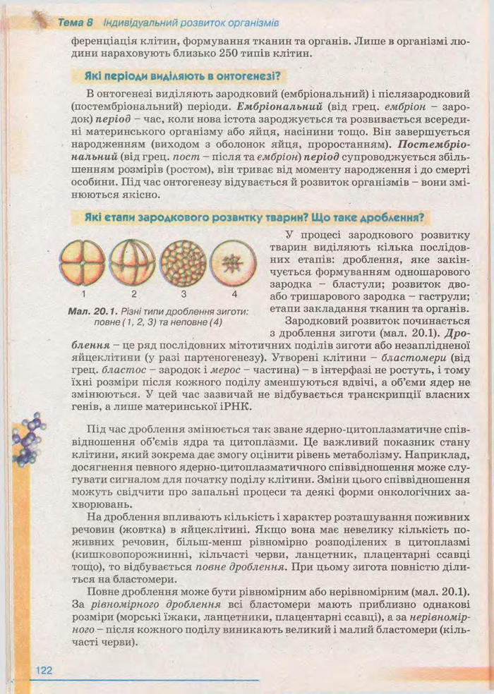 Біологія 11 клас Балан