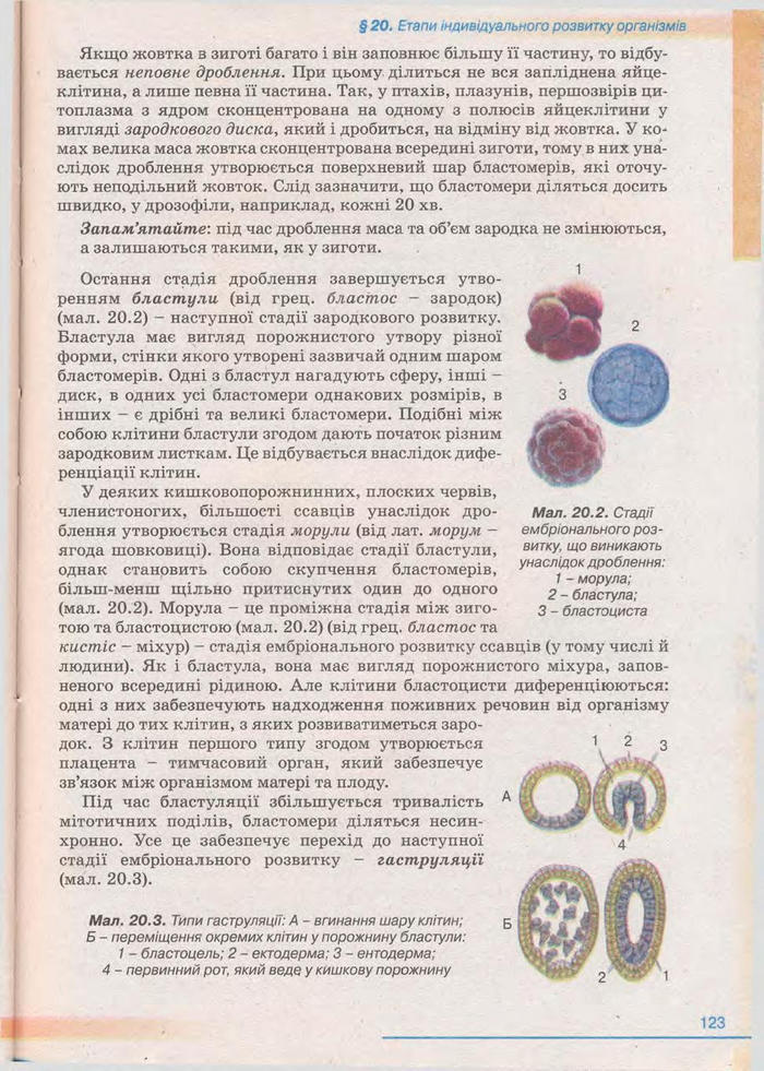Біологія 11 клас Балан