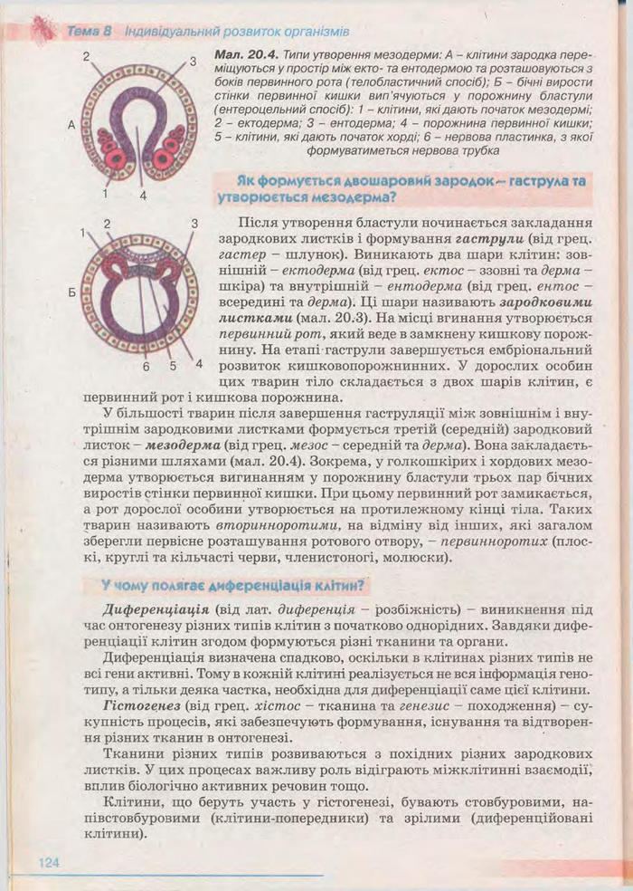 Біологія 11 клас Балан