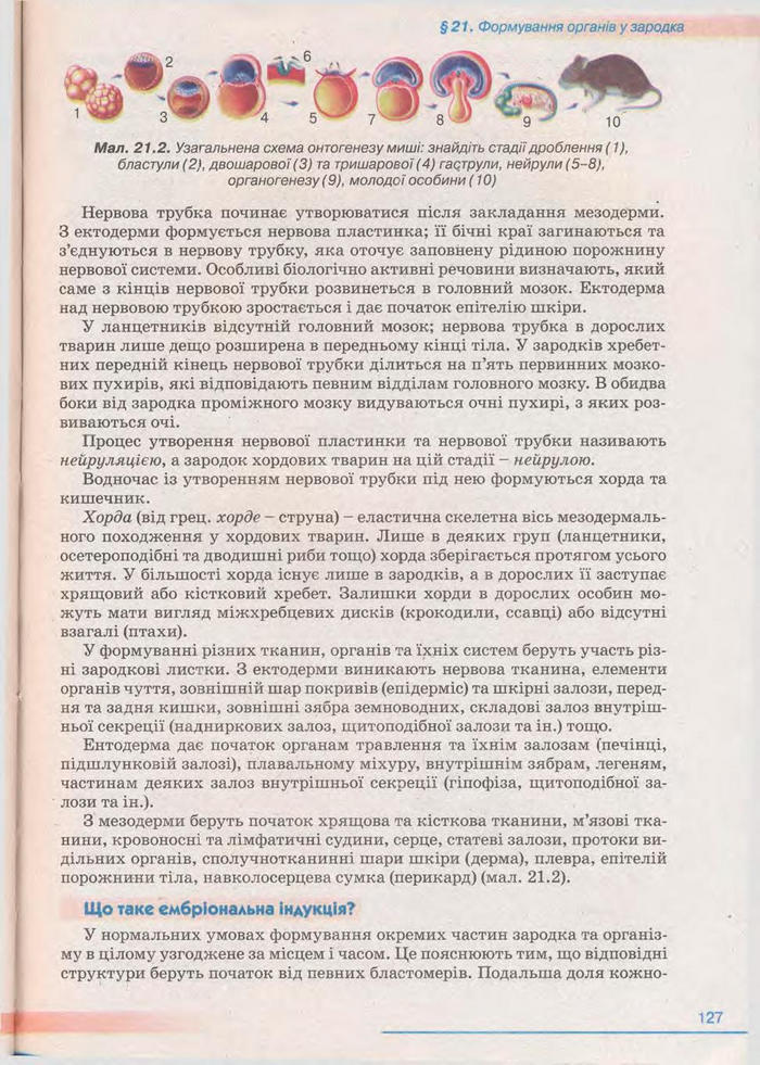 Біологія 11 клас Балан