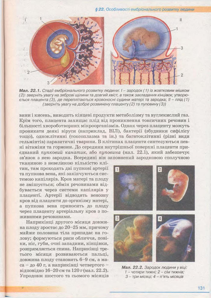 Біологія 11 клас Балан
