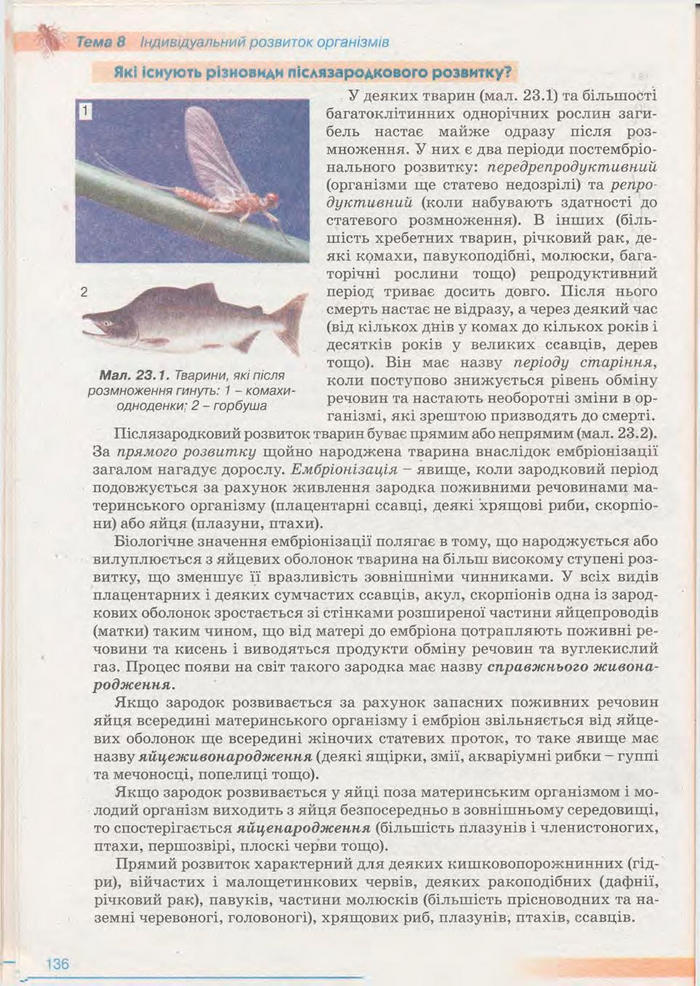 Біологія 11 клас Балан